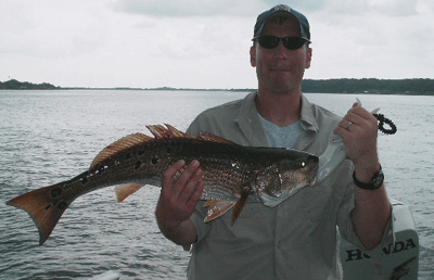 www.captdaves.com