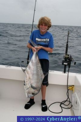 Click to Enlarge Photo