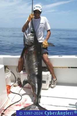 Click to Enlarge Photo