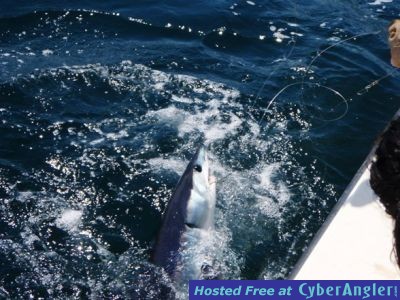 SHARK FISHING OFF LONG ISLAND,NY