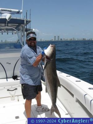 Click to Enlarge Photo