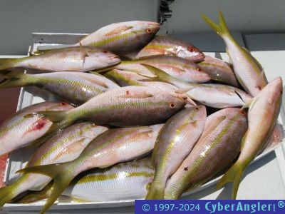 Click to Enlarge Photo