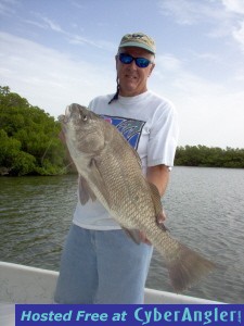 black drum