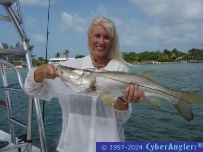 Click to Enlarge Photo