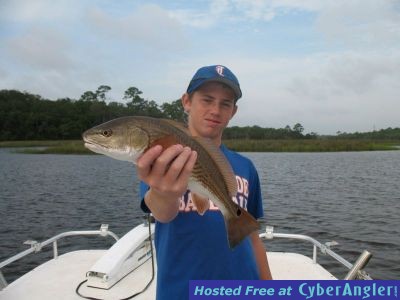 Click to Enlarge Photo