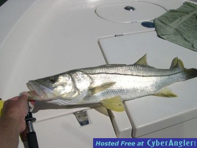 Click to Enlarge Photo