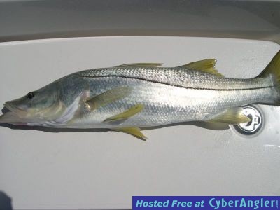 Click to Enlarge Photo