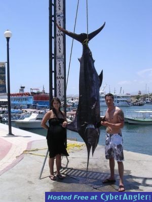 Click to Enlarge Photo