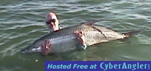 Huge Tarpon