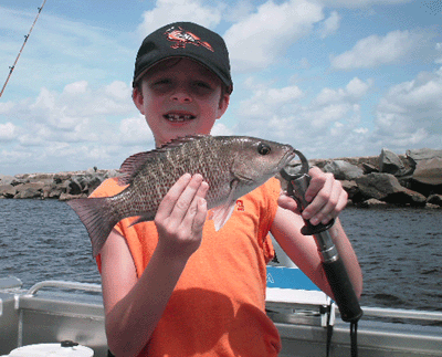 www.captdaves.com
