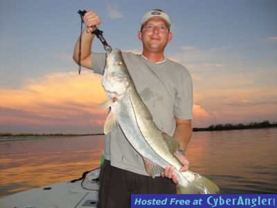 Click to Enlarge Photo