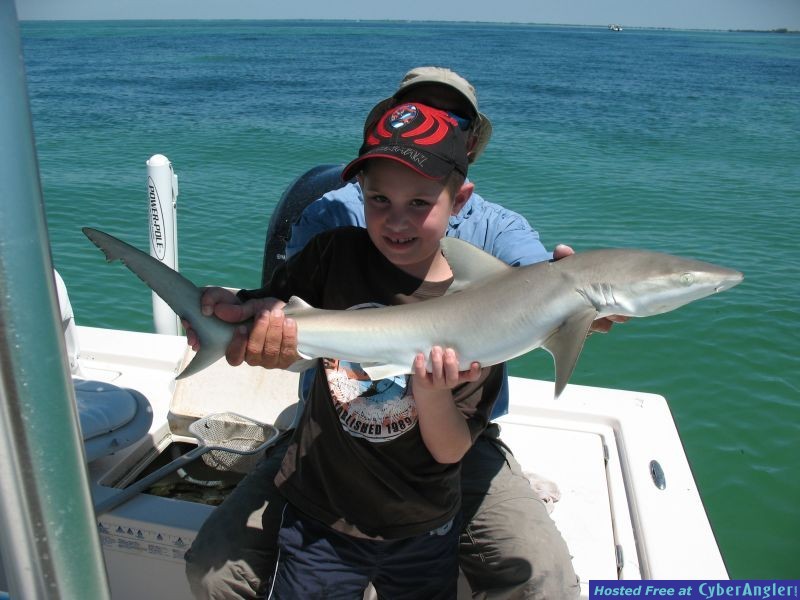 A boy and his shark