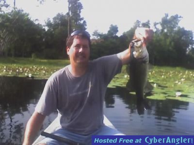 My Central Florida Bass Pics