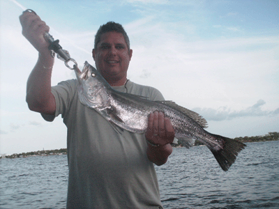 Click to Enlarge Photo