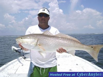 Pensacola, Navarre, Destin Florida fishing pictures with Full Net Fishing C