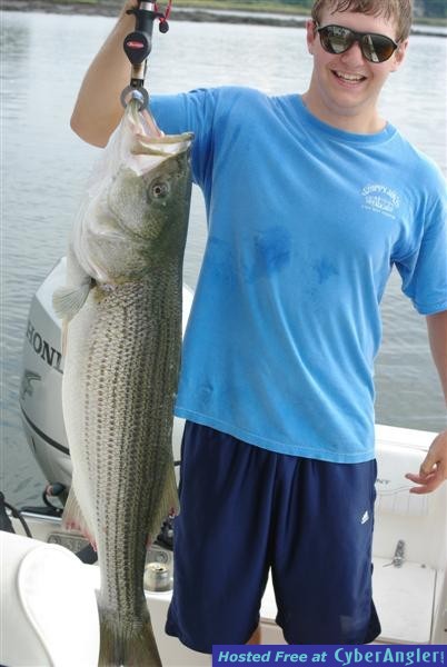 fish9_Medium_