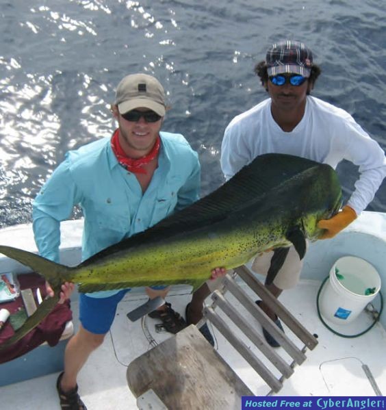 big-dorado