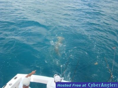 Click to Enlarge Photo