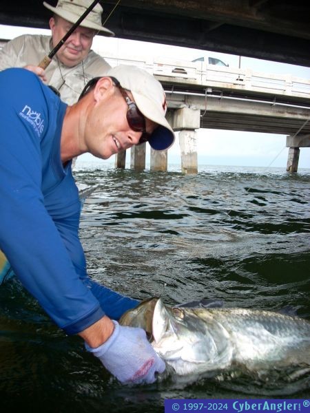 Tampa Bay Tarpon Bite!