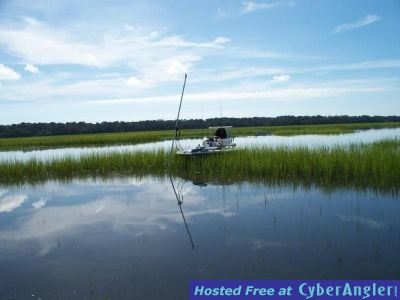 Click to Enlarge Photo