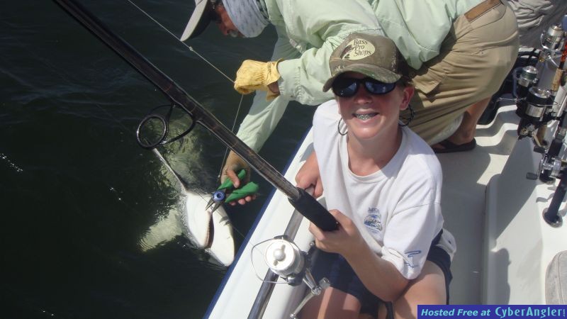 shrimp boat shark