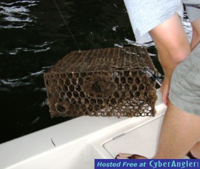 Click to Enlarge Photo