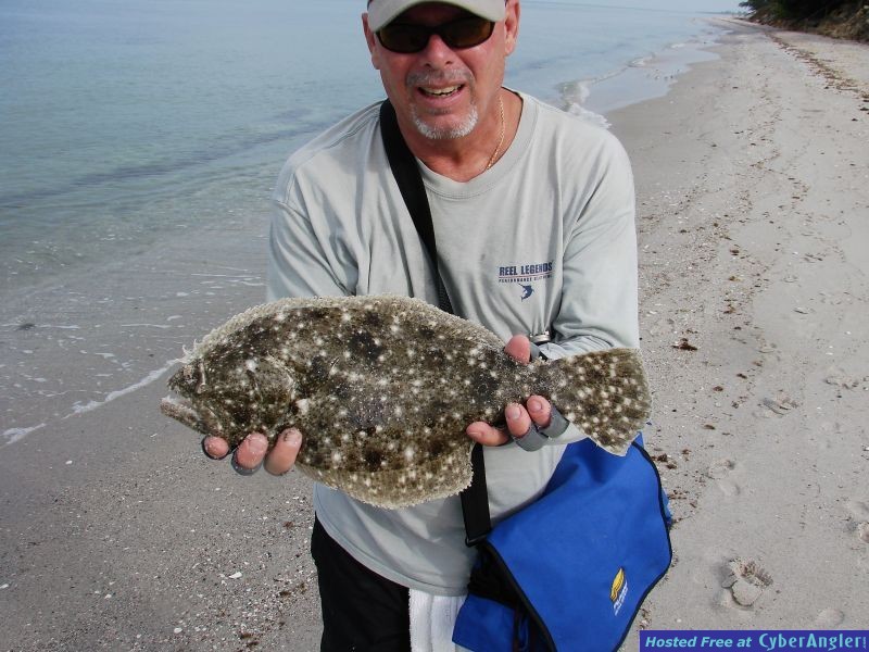 Surf flounder