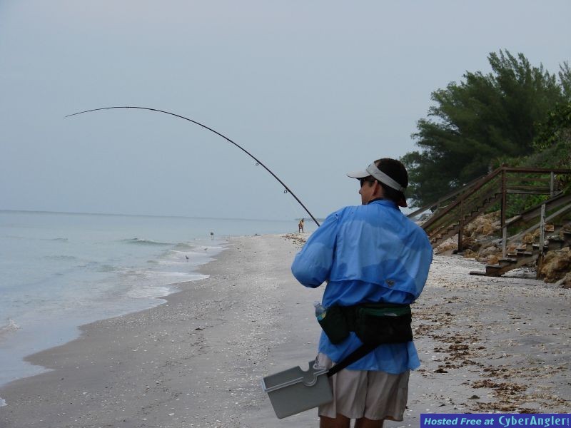Beach snook