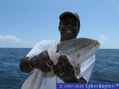 Click to Enlarge Photo