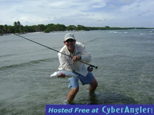 bonefishdexbelizeweb