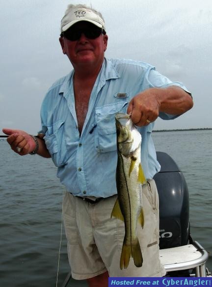 Pine Island snook
