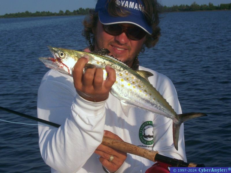 Spanish Mack on FLY