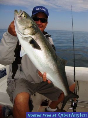 Click to Enlarge Photo