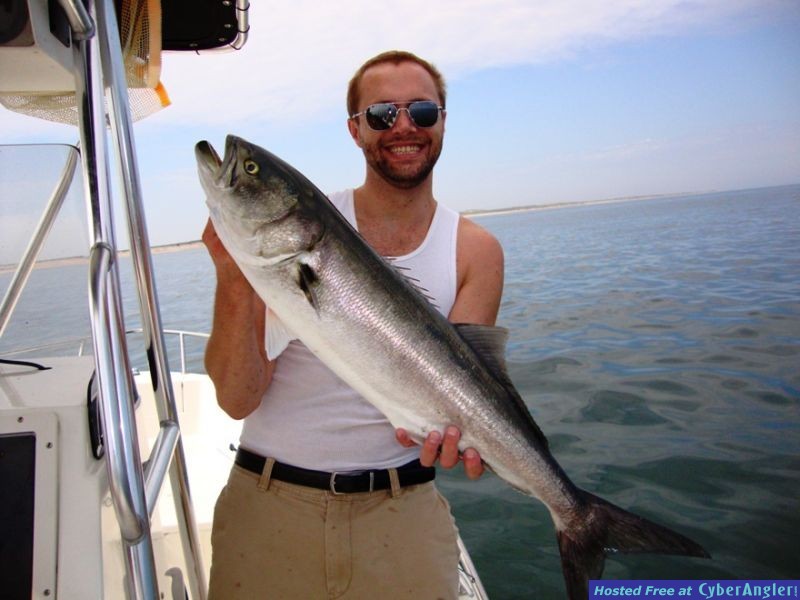 Blackfin_Tuna_020