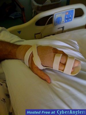 Click to Enlarge Photo