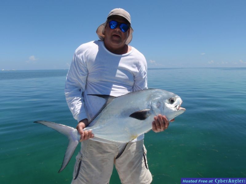 Biscayne Bay permit