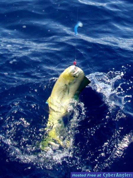 Deep_Creek_lure_2