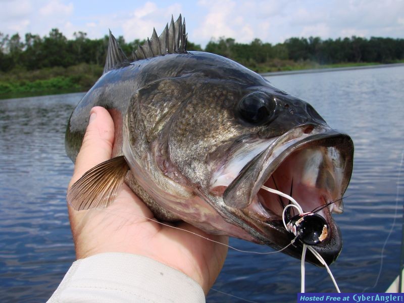 Lake Manatee