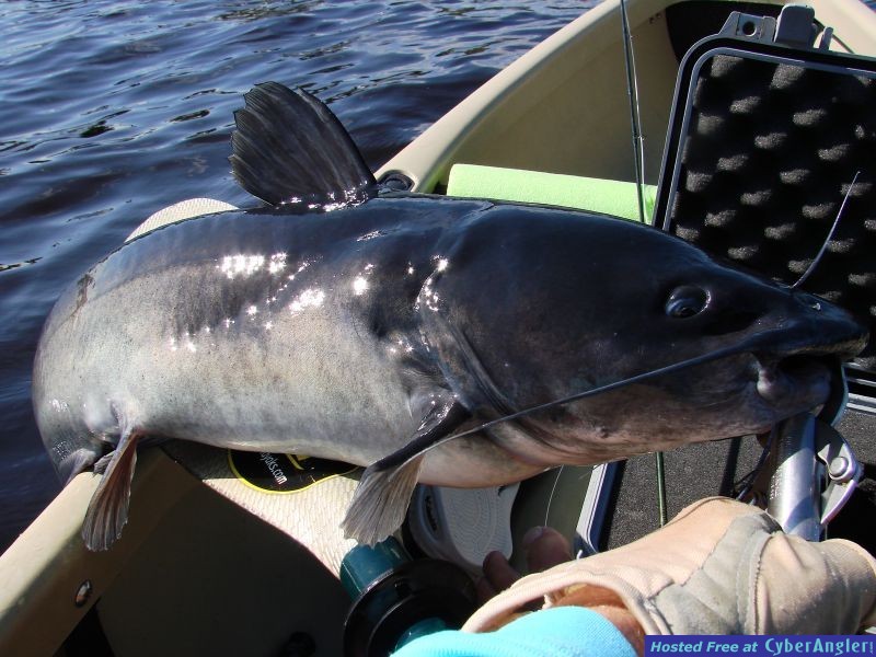 Lake Manatee