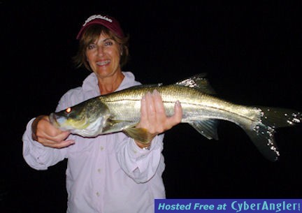 Angela Labauve night fly snook