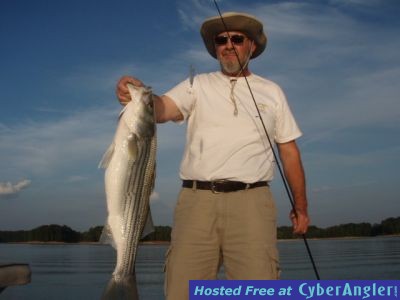 Click to Enlarge Photo