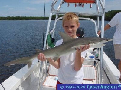 Click to Enlarge Photo