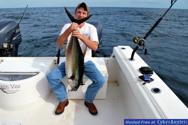 Yellowfin Tuna