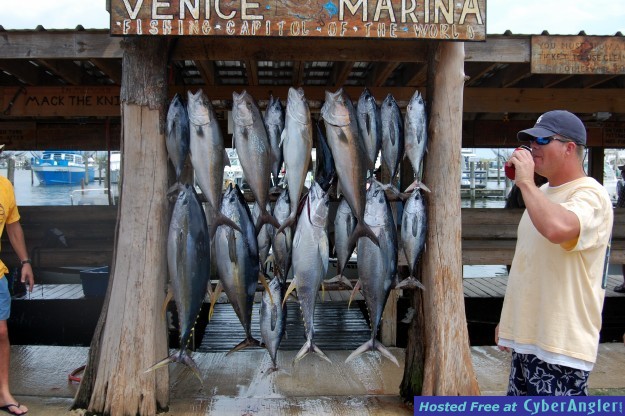 Dock Shot