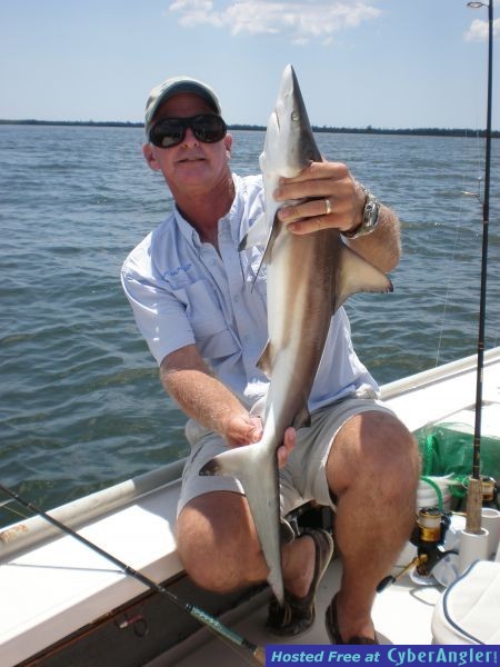 Punta Gorda Smorgasbord