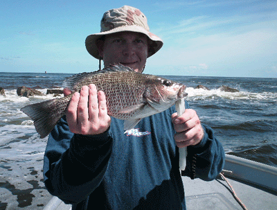 Click to Enlarge Photo