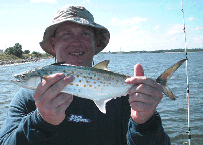 Click to Enlarge Photo