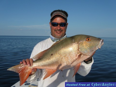 Dry Tortuga Mutton Snapper