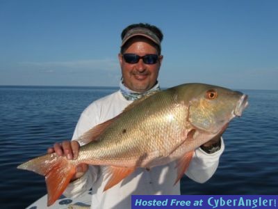 Dry Tortuga Mutton Snapper