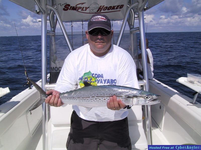 Luciano's Cero Mackerel